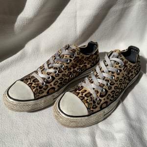 Converse med leopardmönster - Storlek 39 unisex - Säljer då de är lite stora på mig - Köparen står för frakt 🌻