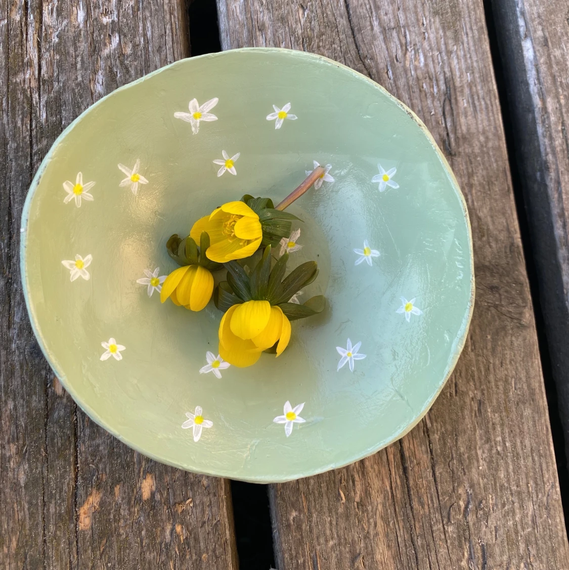 Skål+underlägg - 91