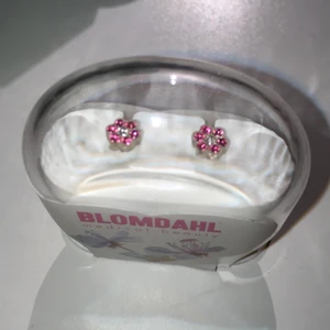 Oanvända örhängen - Allergivänliga Örhängen från Blomdahl som nästa aldrig är använda!