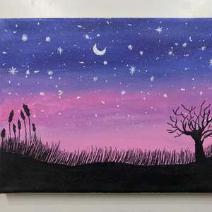 Säljer min tavla som jag har målat, som representerar lila rosa solnedgången med sjänor och månen