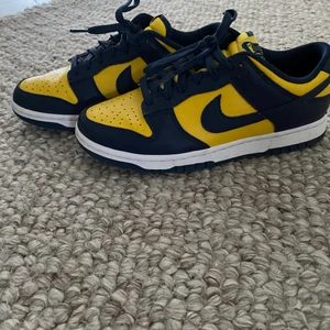 Nike dunks  - Storlek 41 har använt dem 1 gång box finns