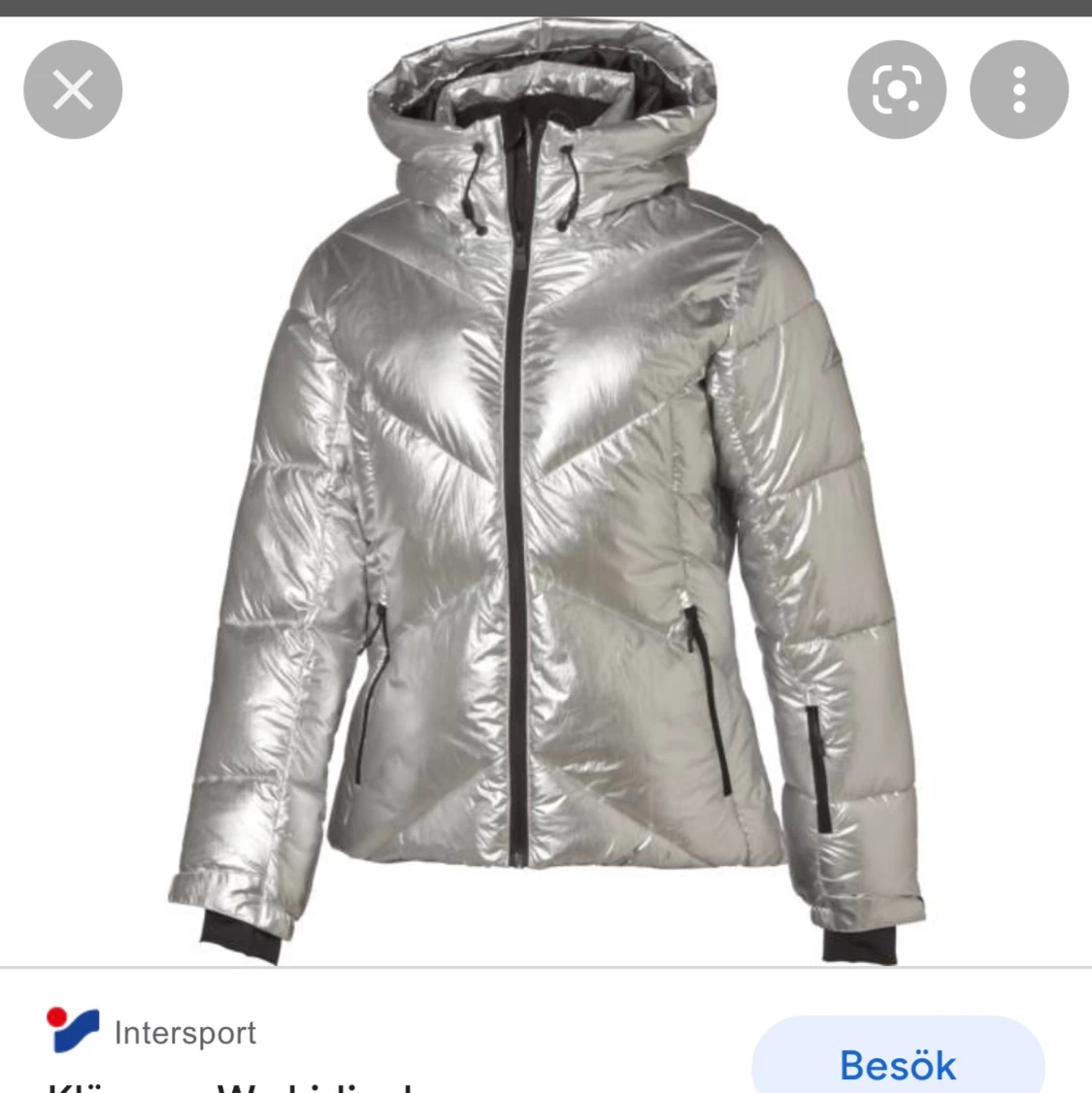 Silvrig skidjacka  - 91
