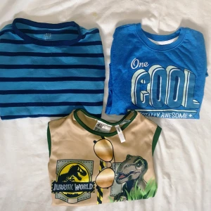 H&m Shirts for sale - These shirts are in very good condition . The green shirt comes with the Summer hat, green shirt is just worn one time, because it was small for my child. other two shirts are also in good condition.