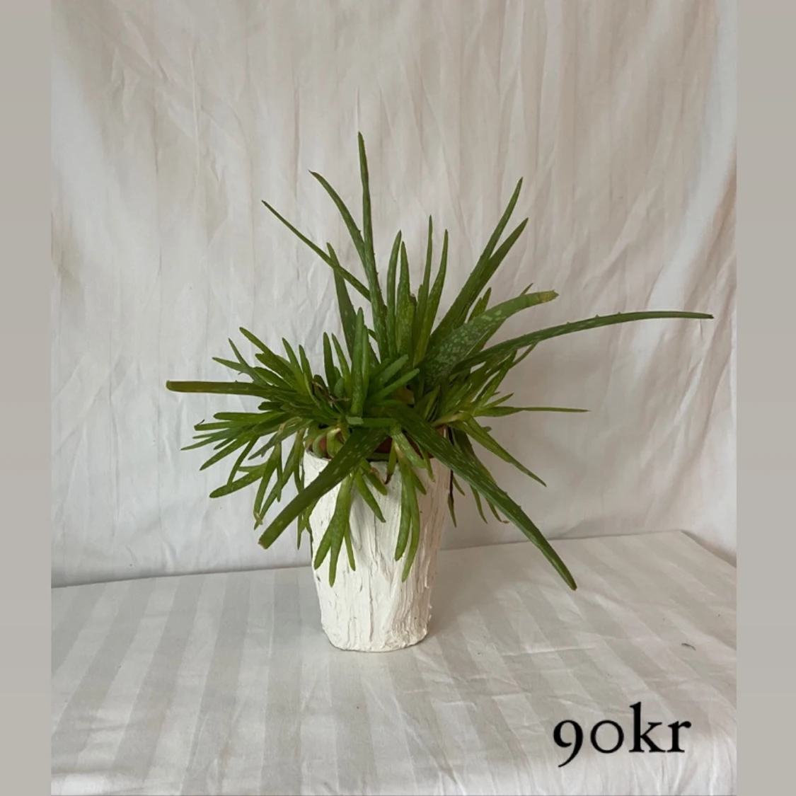 Kruka i spackel đ€