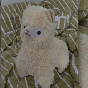 Llama gosedjur - I bra skick, köpt i London men använder ej. Bra som prydnad i sängen! Skriv vid intresse och ifall du har mer frågor! Många intresserade BUDGIVNING, HÖJ MED MINST 5KR STARTPRIS 100