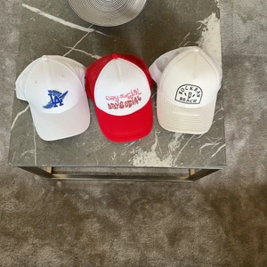 Kepsar - 3 truckerkepsar, 150kr för alla 