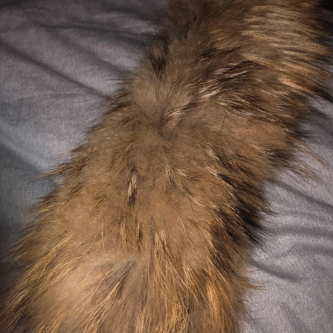 Pälsen till jackan! - 90