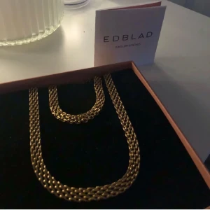 Armband - Guld Armand ifrån Edblad, lana collection som knappt är andvänt