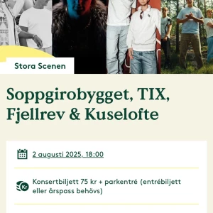 Biljett till soppgirobygget  - Biljet till soppgirobygget och fler 2 augusti på Liseberg HÖGST BUD FÅR  DEN 