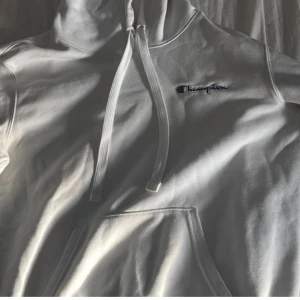 Fyra olika märkes hoodies!! - Säljer 4 hoodies till värde av 2000kr!!!!!!!!! Vill bli av med dom så säljer alla för 500 (pris går att diskutera vid snabb affär) Olika färger olika märken alla är äkta, Nike hoodies strlk xs men passar alla!! Champion hoodies storlek S men hoodies passar alla