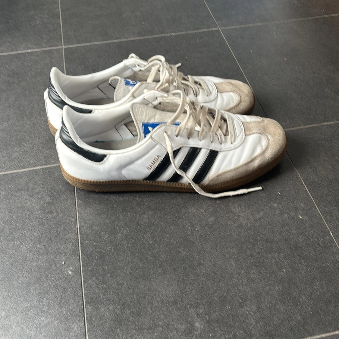 Adidas  samba!