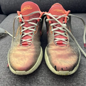 Nike Lebron 21 ”Queen conch”  - Säljer Lebron 21’s ”Queen conch” använt 2 eller 3 gånger