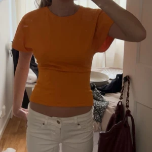 Orange topp - Orange topp