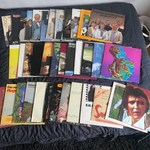 Samling av vinylskivor med olika artister - Säljer gamla vinylskivor. Kom med bud på vilka ni vill ha. Vill ni ha bild på någon får ni fråga.  Här är namnen på samtliga: Christmas Elvis Presley 1976 Simple minds live dubbel  1987 Freda 1990 Ingemar Nordström Saxparty 14, Irma 1991 Ingemar Nordströms saxparty 13 Eric Gadd 1991 Freda 1988 Ingemar Nordströms juletid 1978 Ingemar Nordströms saxparty 18 Ingemar Nordströms saxparty 16 Simple minds 1989 Ingemar Nordströms saxparty 15 U2 the unforgettable fire Birdy 1985 Slut på tecken :(