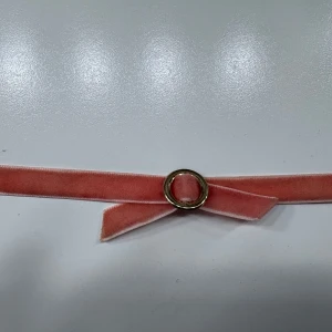 Rosa sammetsbälte med guldfärgat spänne - Säljer ett smalt rosa bälte i sammetsliknande material med ett runt guldfärgat spänne. Bältet har en enkel och stilren design som passar perfekt för att ge outfiten en söt touch.