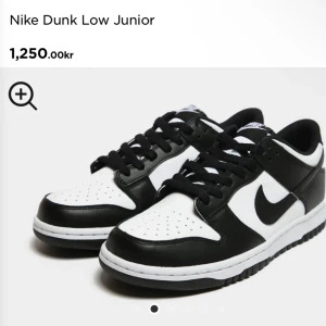 Nike Dunk Low Junior - Strl 38, använda några gånger
