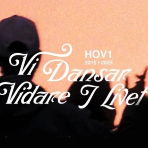 Vi Dansar Vidare I Livet biljetter i Sthlm  på gärdet  - Två biljetter på den sista konserten med samma pris som köptes för 