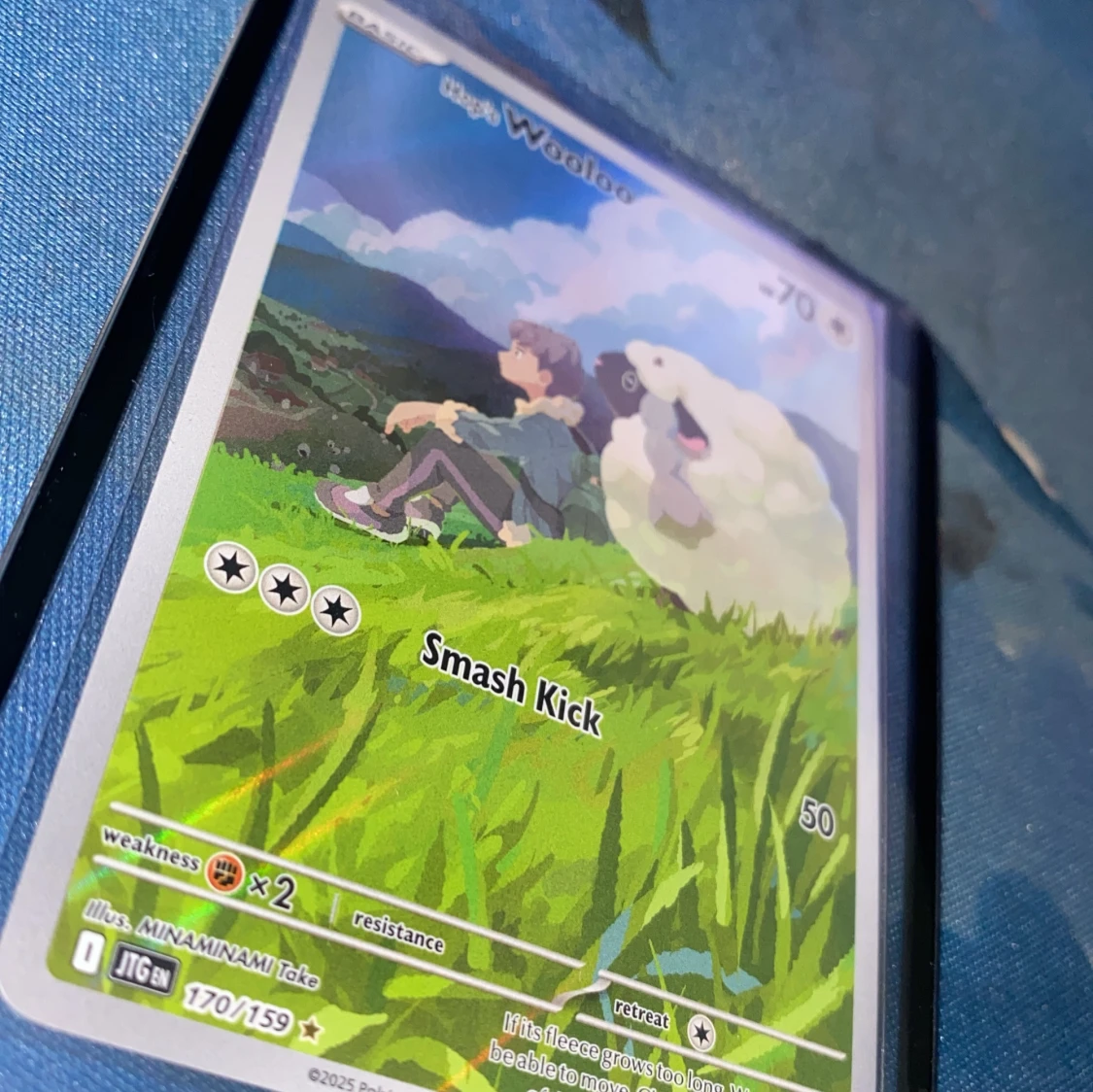 Pokémonkort Hop's Wooloo Holo - 4