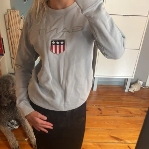 Ljusblå sweatshirt från Gant 158/164 - Storlek 158/164Ljusblå sweatshirt från Gant med broderad logga och sköld med stjärnor och ränder på bröstet. Tröjan har rund hals, långa ärmar och ribbade muddar. Perfekt för en chill och sportig look. Pytteliten fläck på armen som inte går bort