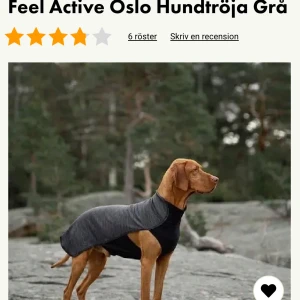 Feel Active Oslo grå hundtröja - Mörkgrå hundtröja från Feel Active Oslo med sportig look. Tröjan är tillverkad i mjukt fleecematerial och har svarta detaljer. Perfekt för kyliga promenader och enkel att ta på med öppning för benen och justerbara band under magen. STORLEK 25. Använd till katt. 