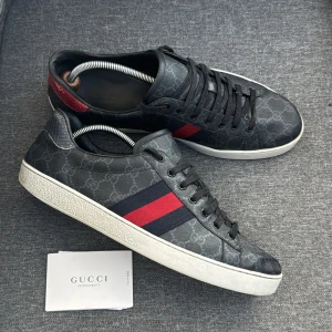 Gucci Ace Skor | 45 - Gucci Ace Sneakers | Bra skick | Storlek 11.5, passar 45-46 | Kort från Gucci ingår | INGA BYTEN | Fraktar spårbart eller möts upp i Täby