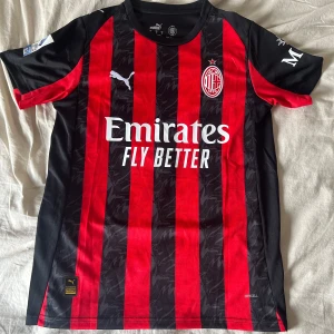 AC Milan Modric 14 Puma fotbollströja - AC Milan matchtröja med Modric och nummer 14 på ryggen. Klassisk röd och svart randig design, officiella Serie A-märket på ärmen och broderat ACM-emblem på bröstet. Tillverkad i lätt, ventilerande polyester med DryCell-teknologi. Snyggt tryck med Emirates Fly Better på framsidan.