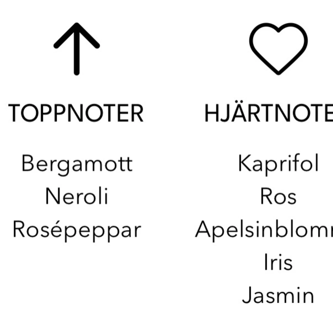 ESSNCE Orange Blossom Eau de Parfum - 1