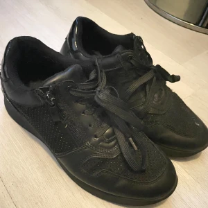 Svarta sneakers med dragkedja och snörning - Svarta sneakers med både snörning och dragkedja på sidan. Skorna har detaljer i både skinn och mocka samt diskreta glittriga partier på ovandelen. Platt sula och rund tå, med en guldfärgad detalj på hälen. Perfekta för en cool och avslappnad stil.