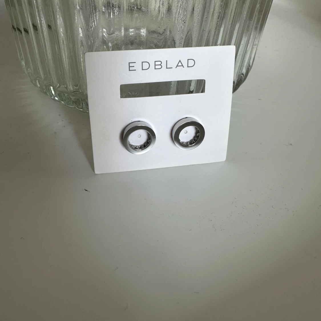 Stainless steel örhängen från Edblad