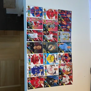 Fotbollskort ADRENALYN - Säljer ett par fotbollskort. Vill inte ha dem längre så priset kan diskuteras!