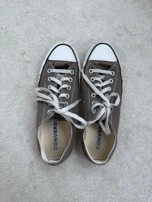 Converse All Stars grå/beige - Säljer mina fina Converse All Stars i en grå-beige färg. Mycket bra skick men syns att de är lite använda 💓 storlek 40/41