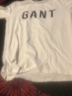 Vit T-shirt från GANT - Säljer en klassisk vit T-shirt från GANT med stor svart logga över bröstet. T-shirten har rund hals och korta ärmar, tillverkad i mjuk bomull som känns skön mot huden. Perfekt till jeans eller shorts för en clean och enkel stil. Ändas Swhis hämtad i Västerås Flocksta 3