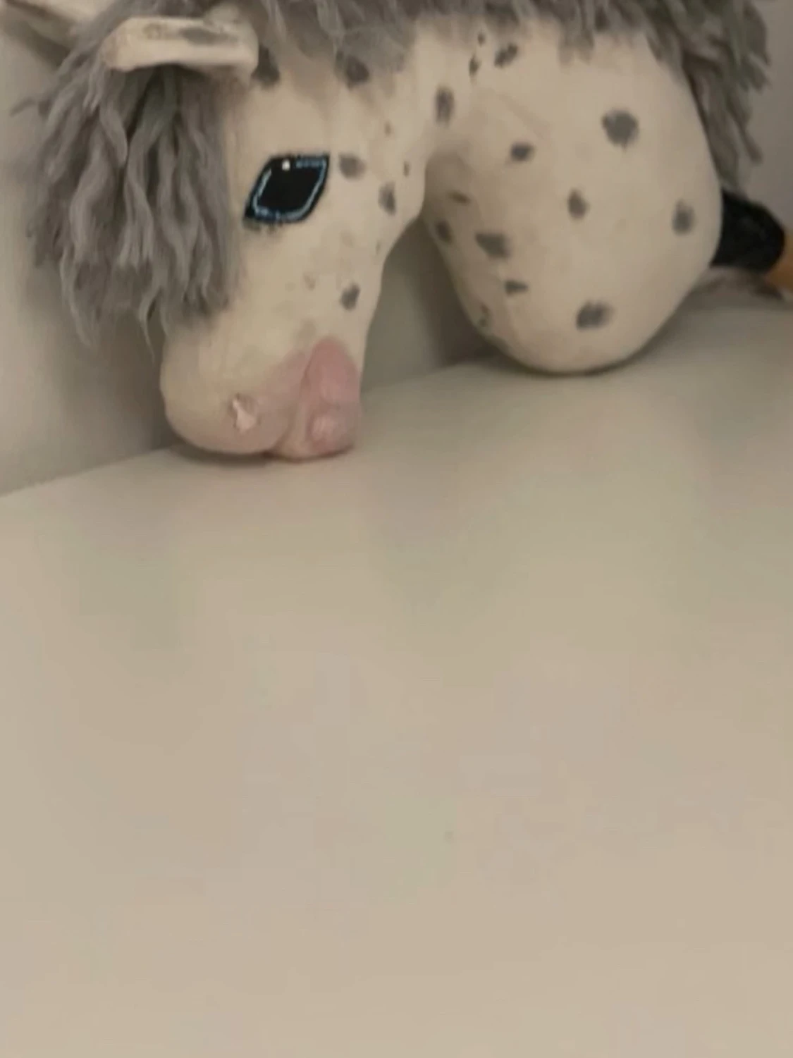 Käpphäst med grimma och tillbehör - 3