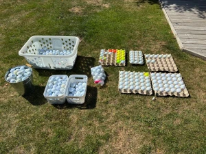 Stort parti golfbollar i blandade färger - Säljer ett stort parti golfbollar, mestadels vita men även några gula och orange. Bollarna är sorterade i olika märken det finns många Florida bollar men även lite andra märken som Srixon, Wilson, Callaway, Titlest och Taylermade. Skriv gärna om du är intresserad om pris och vad för bollar du är ute efter!                       Jag anger pris när man frågar om bollar, (så priset som står är inte de man köper allt för!) Frakten kan variera beroende på hur många bollar man köper. 