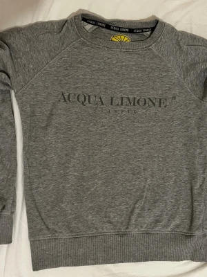 Grå sweatshirt från Acqua Limone - Snygg grå sweatshirt från Acqua Limone med klassisk logga tryckt på bröstet. Tröjan har rund halsringning, långa ärmar och ribbade muddar vid ärmslut och nederkant. Perfekt för en avslappnad och stilren look.
