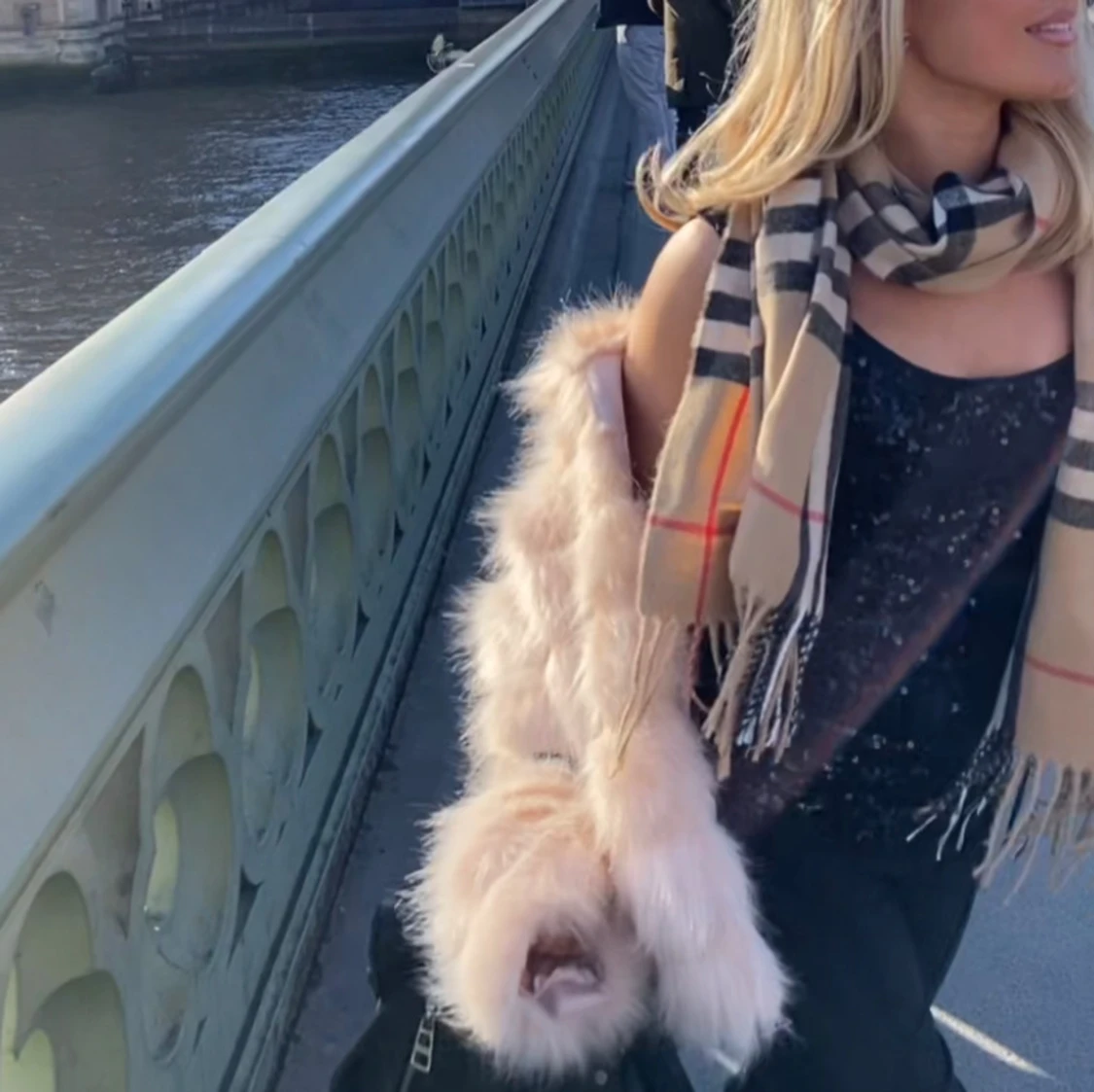 Pälsjacka från Guess - 3