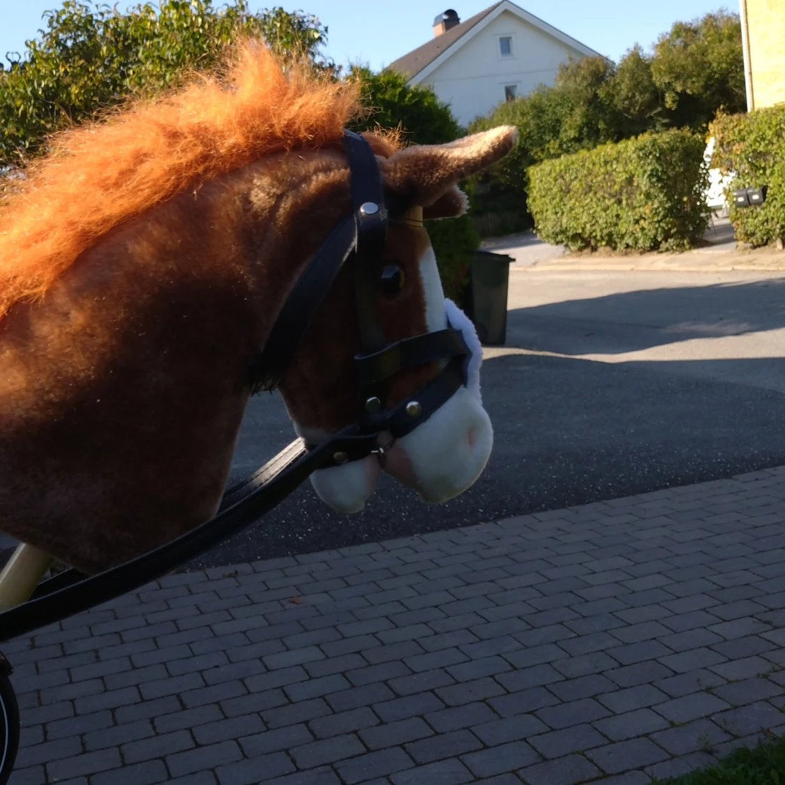 Fin käspphäst - 90