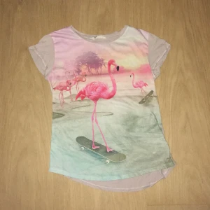 T-shirt med flamingo från H&M - Cool t-shirt från H&M med ett färgglatt tryck av flamingos på skateboards. T-shirten har korta ärmar och en rund halsringning. Perfekt för en avslappnad stil med en touch av humor.
