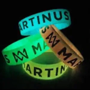 SÖKER - Söker Marcus och Martinus armband med rimligt pris 