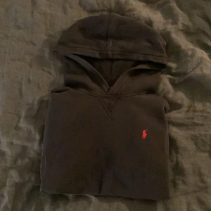 Polo Ralph lauren Hoodie - Polo Ralph lauren hoodie i fint skick, priset kan diskuteras🍾🕴🏿