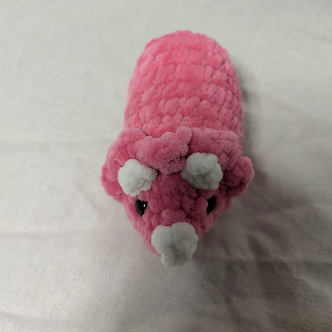 Rosa triceratops  - 91