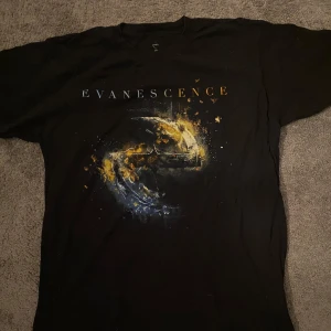 Svart T-shirt med Evanescence-tryck - Cool svart T-shirt med ett färgstarkt Evanescence-tryck på framsidan. Perfekt för fans av bandet som vill visa sin stil. T-shirten har korta ärmar och en normal passform.