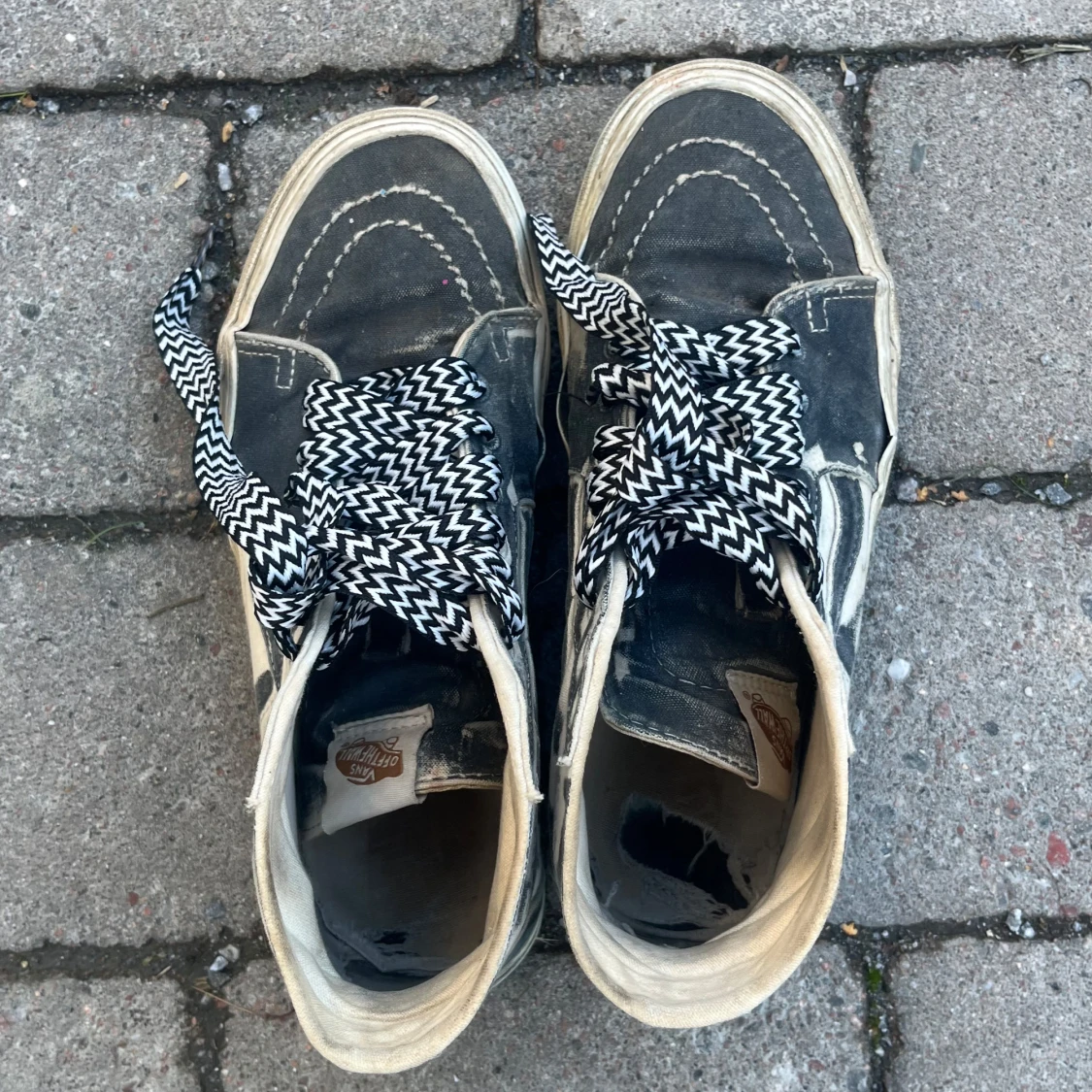 Vans med coola skosnören - 91