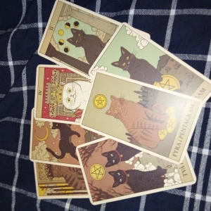 Tarotkort - Så söta tarotkort med katt motiv🔮😻 med tillhörande guidebok och förvarings box 