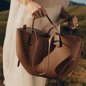 *SÖKER* Polene cyme bag - Söker en polene cyme bag, främst regular modellen i färgen Camel.