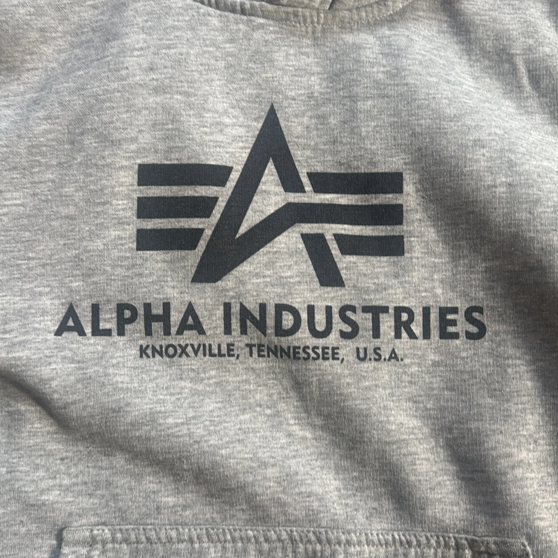 Grå hoodie från Alpha Industries - 92