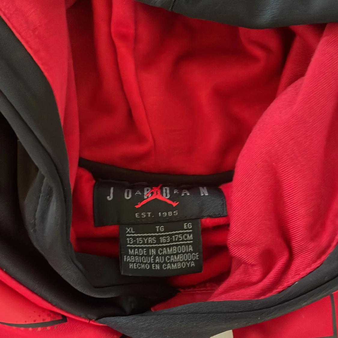 Jordan Hoodie i perfekt skick - 91