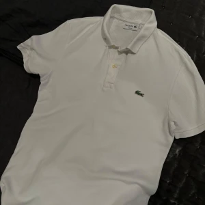 Lacoste piké - bar skixk