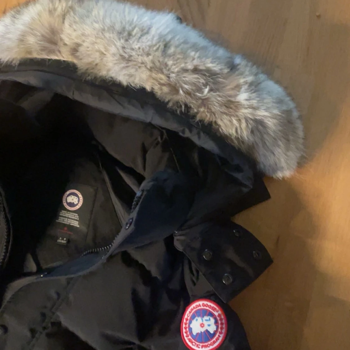 Canada goose dunjacka