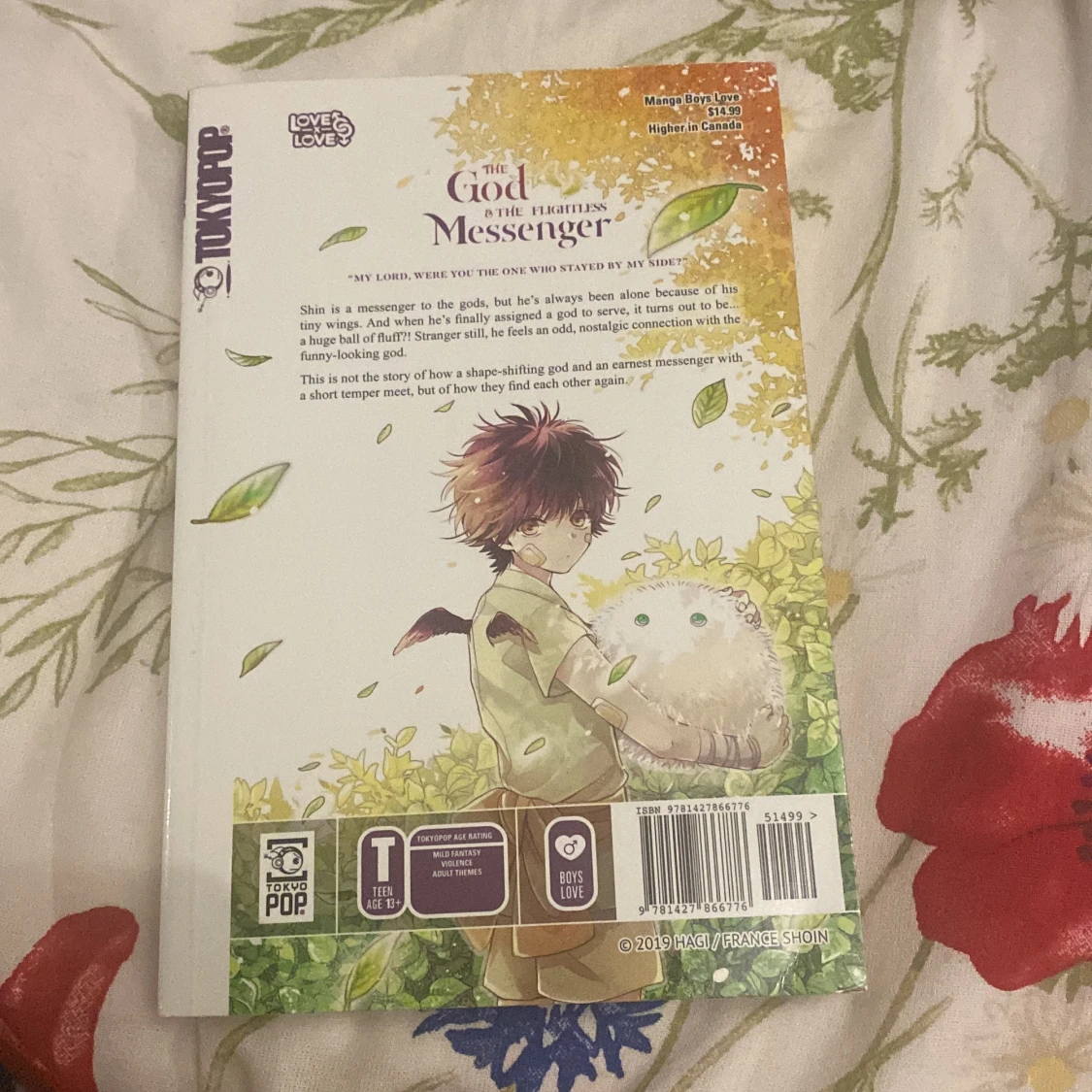 the god and the flightless messanger - 27